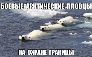 Россия создаст пятый «военный округ» в Арктике