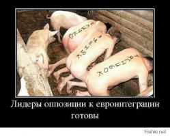 Подборка политического юмора