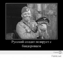 "Мыздобулы" в картинках. Смешных и не очень