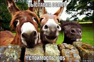Швабра