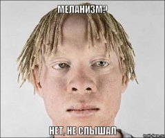 10 удивительных животных-меланистов