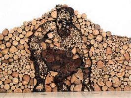 Где и как хранить дрова на даче