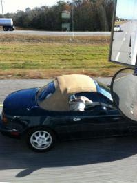 Не за рулем можно.