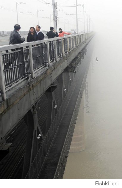 Фото, на которые нужно взглянуть дважды 