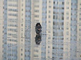 28 интересных фотографий из повседневной жизни 