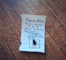 Медики шутят