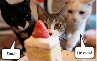 Села на диету - не держи в квартире заначки