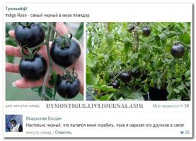 Ох как Бодрит Черный Юмор