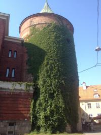 Фотоподборка за 07.08.2014 