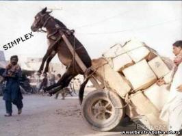 Это жесть это просто ****ец катафалк