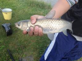 ЭХ в эти выходные обязательно поеду на рыбалку.