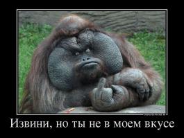 Я на тебе никогда не женюсь