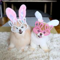 Шок!!! Злобная собака!!!