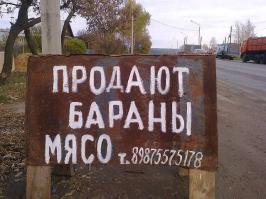 Подборка прикольных фото и картинок