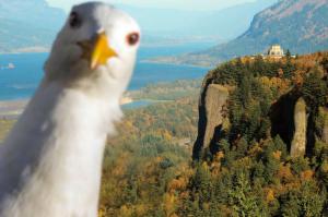 Фотоподборка за 17.09.2014