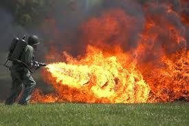 Это же Пиздец К ***м их Жечь и Бобу им в Подарок