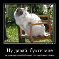Кошка и мышка