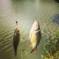 Вспоминаю такие моменты всегда с теплом.