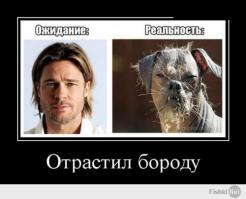 Хозяева и их собаки  
