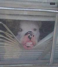 Фишкина солянка за 05.10.2014 