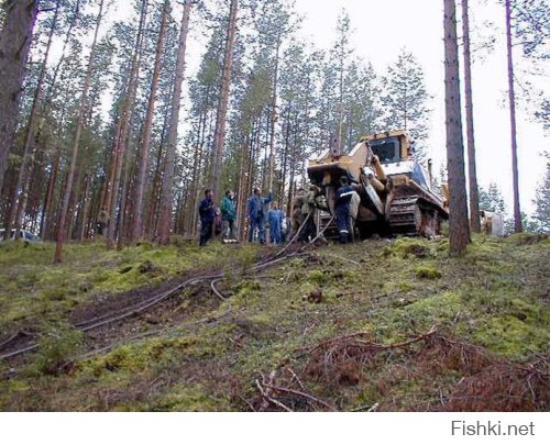 Танки, не совсем парадные фотографии