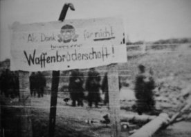 Автор хочет сказать, что в годы Великой Отечественной войны фины показали себя даже более изуверскими чем немецкие фашисты. Обстрелы Ленинграда, мирного голодного населения - это подавляющая заслуга финской артиллерии. И не надо говорить, что если-бы мы не напали на Финляндию они-бы нас не тронули - вот не верю как-то. Думаю, что не отодвинь мы немного границу от Ленинграда, то миролюбивые фины замкнули кольцо немного раньше, только и всего. Не добили мы финскую гадину перед ВОВ. Хотя Финляндия в конце Второй Мировой в полной мере показала себя проституткой, объявив войну Германии. Прилагаю фото. Немецкий плакат, обращенный к финнам во время Лапландской войны. Ироничная надпись на плакате: «Als dank bewiesene für nicht Waffenbrüderschaft !» («Благодарим за доказанное отсутствие боевого товарищества!»).
«Лапландская война» (сентябрь 1944 г. — апрель 1945 г.) началась после подписания договора о перемирии между Финляндией и СССР 19.09.1944. Согласно этому договору Финляндия была обязана убрать немецкие войска, оставшиеся на ее территории, и передать их в руки Антигитлеровской коалиции. Во исполнение договора Финляндия начала военные действия против немецких войск, находившихся в Лапландии.