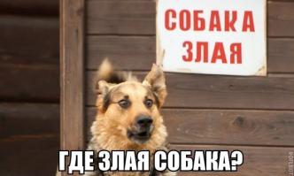 Фишкина солянка за 29.08.2014