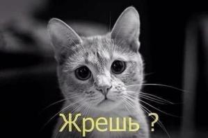 Фишкина солянка за 25.09.2014
