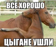 Фишкина солянка за 25.09.2014