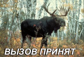 Полицейская погоня за мотоциклистами 