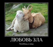 50 случаев удивительной дружбы животных