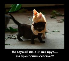 10 удивительных животных-меланистов