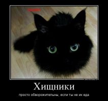10 удивительных животных-меланистов