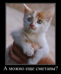 37 самых милых детенышей животных 2014 года