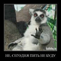 14 веских причин, почему не стоит напиваться до чертиков в гостях 