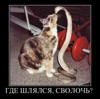 Когда вернулся дома его уже ждали...