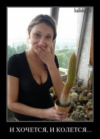 И хочется, и колется