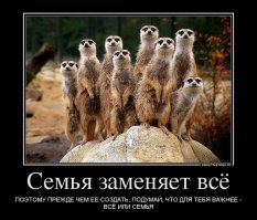 Самое драгоценное сокровище в мире - это семья