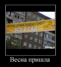 Смешные надписи и объявления