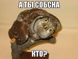 Маленькие совята от Ямковской Марины