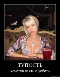  Дураки и дороги