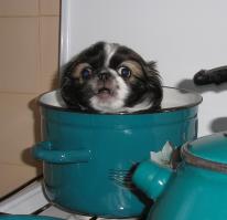 Моя Делька в детстве