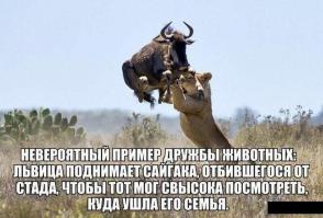 Нестандартные фотографии с памятниками