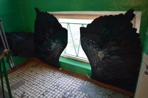 бабу с рогами спи...ли!!!