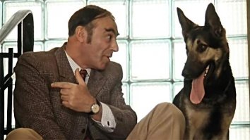 Фигасе, подлокотник сзади...