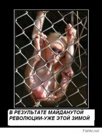 Фотожабы на Яценюка