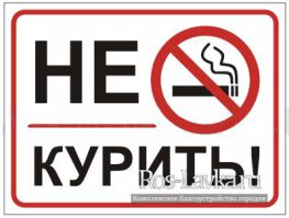 Как правильно заправлять автомобиль