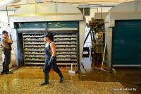 Ну и по старой латвийской традиции вся килька с пола экспортируется исключительно на российский рынок