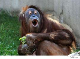 ОООООООО братиииишь