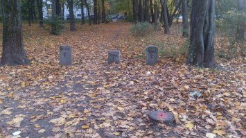 Сука любовь